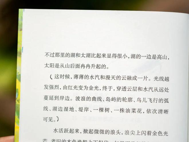 別再逼孩子努力了！中高考再次證明：上了中學回頭看父母最該狠抓這件事(圖23)