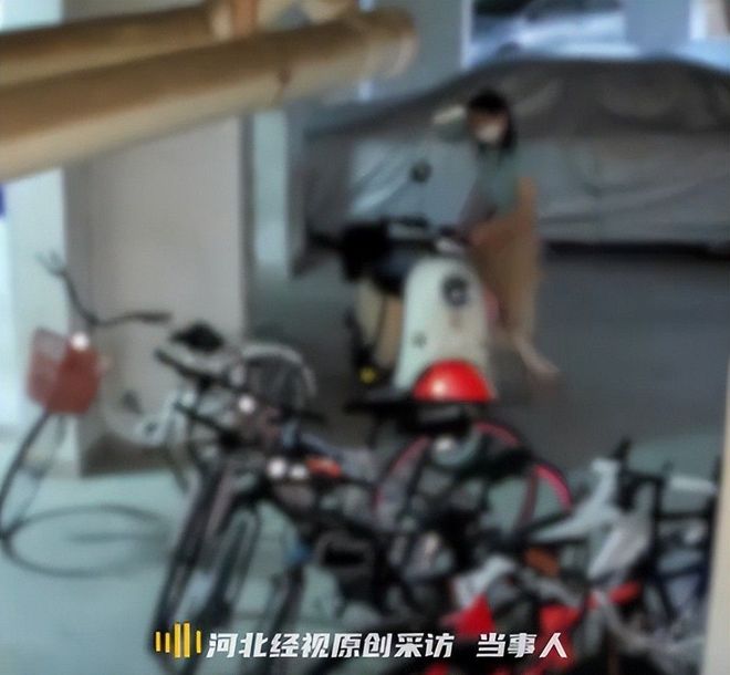 女子推倒自行車后續：已立案車損報價比電車貴女子回應太霸道(圖10)